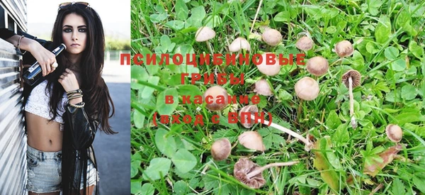 хмурый Нягань