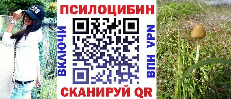 Псилоцибиновые грибы GOLDEN TEACHER kraken рабочий сайт shop телеграм Ильский